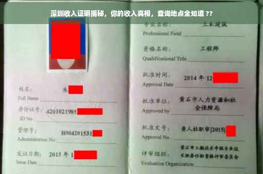 深圳收入证明揭秘，你的收入真相，查询地点全知道 ??