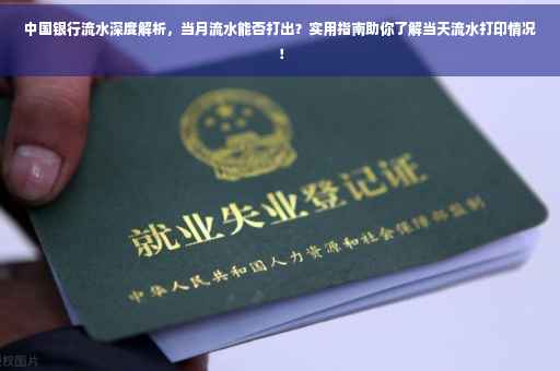 中国银行流水深度解析，当月流水能否打出？实用指南助你了解当天流水打印情况！