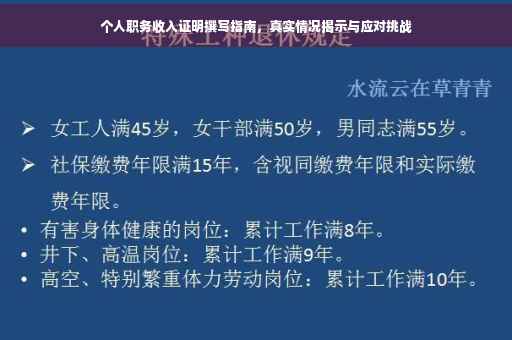 个人职务收入证明撰写指南，真实情况揭示与应对挑战