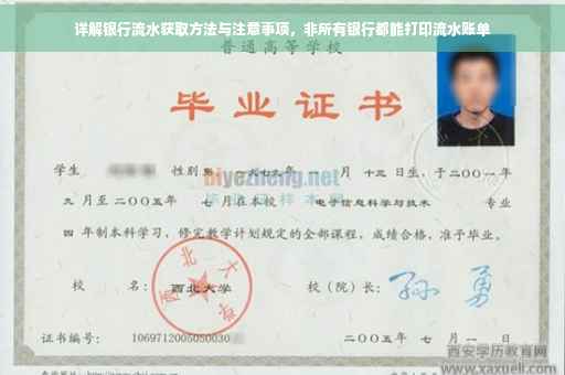 详解银行流水获取方法与注意事项，非所有银行都能打印流水账单