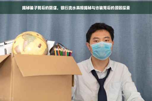 揭秘骗子背后的阴谋，银行流水真相揭秘与诈骗背后的原因探索