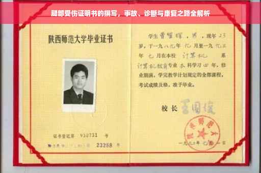 腿部受伤证明书的撰写，事故、诊断与康复之路全解析