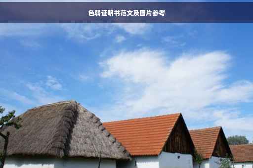 色弱证明书范文及图片参考