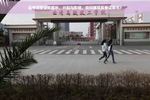 反卷现象深度解析，兴起与影响，如何撰写反卷证明书？