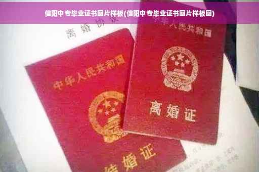 信阳中专毕业证书图片样板(信阳中专毕业证书图片样板图)