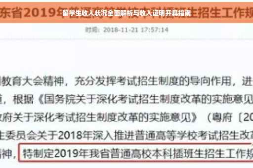 留学生收入状况全面解析与收入证明开具指南