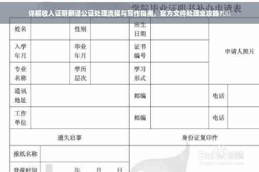 详解收入证明翻译公证处理流程与写作指南，官方文件处理全攻略?⚡️
