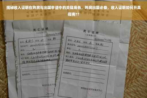 揭秘收入证明在购房与出国申请中的关键角色，购房出国必备，收入证明如何开具指南??
