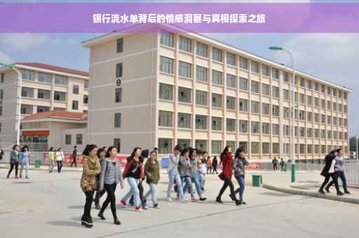 银行流水单背后的情感洞察与真相探索之旅