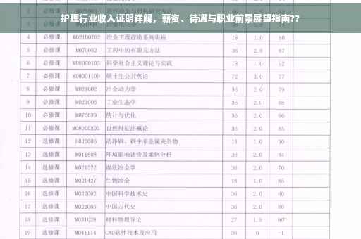 护理行业收入证明详解，薪资、待遇与职业前景展望指南??