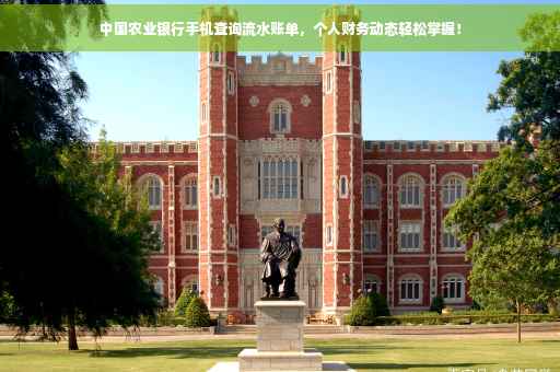 中国农业银行手机查询流水账单，个人财务动态轻松掌握！