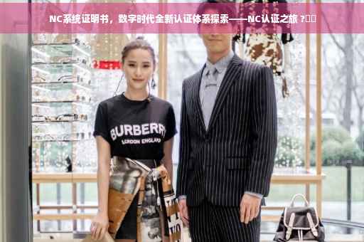 NC系统证明书，数字时代全新认证体系探索——NC认证之旅 ?⚡️