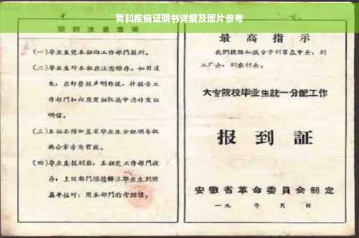 男科疾病证明书详解及图片参考