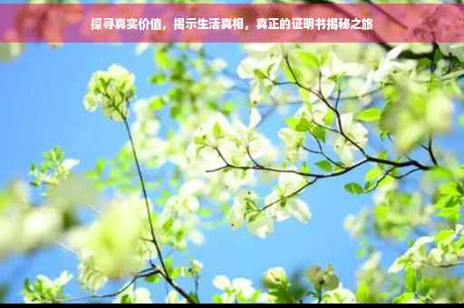 探寻真实价值，揭示生活真相，真正的证明书揭秘之旅