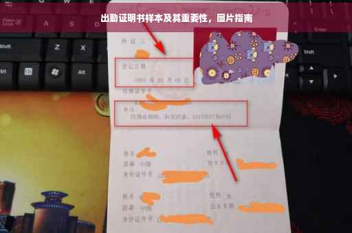 出勤证明书样本及其重要性，图片指南