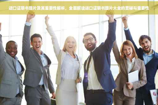 进口证明书图片及其重要性解析，全面解读进口证明书图片大全的奥秘与重要性