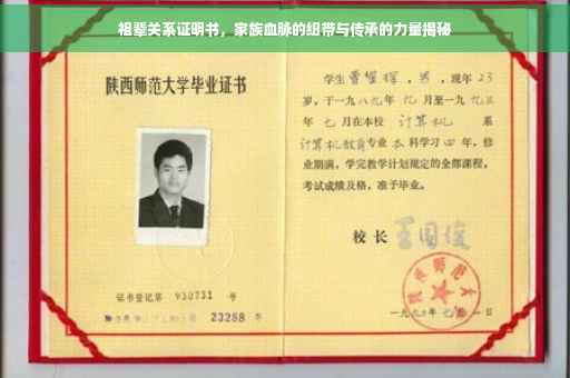 祖辈关系证明书，家族血脉的纽带与传承的力量揭秘