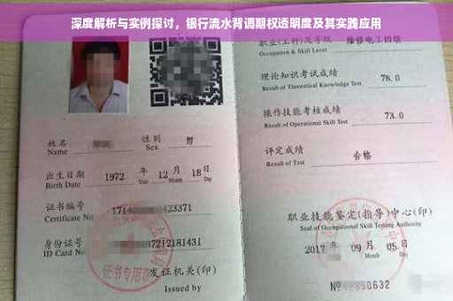 深度解析与实例探讨，银行流水背调期权透明度及其实践应用