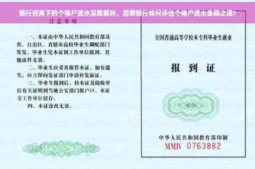 银行视角下的个体户流水深度解析，洞悉银行如何评估个体户流水金额之道?