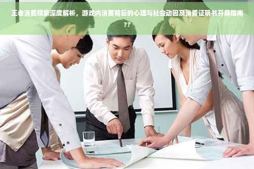 王者消费现象深度解析，游戏内消费背后的心理与社会动因及消费证明书开具指南??