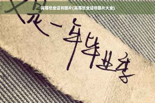 高等毕业证书图片(高等毕业证书图片大全)