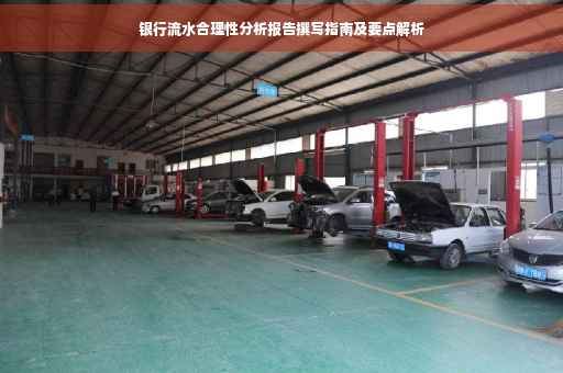 银行流水合理性分析报告撰写指南及要点解析