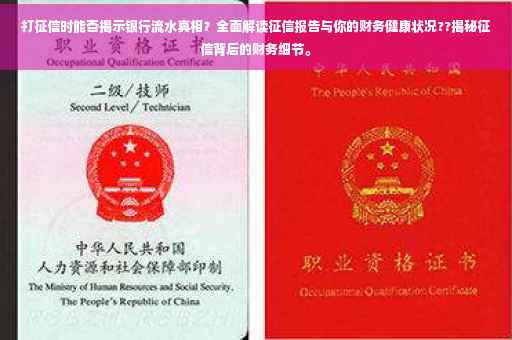打征信时能否揭示银行流水真相？全面解读征信报告与你的财务健康状况??揭秘征信背后的财务细节。