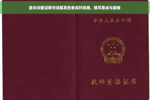 肠炎诊断证明书详解及患者应对指南，撰写要点与策略