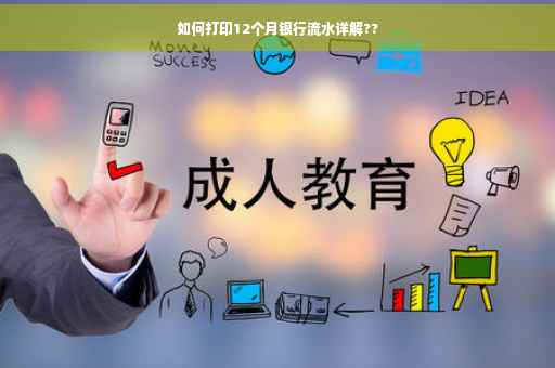 如何打印12个月银行流水详解??