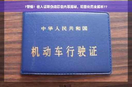 ?警惕！收入证明伪造印章内幕揭秘，犯罪处罚全解析??