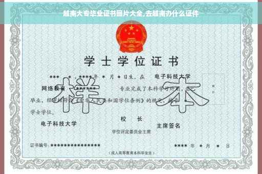 越南大专毕业证书图片大全,去越南办什么证件