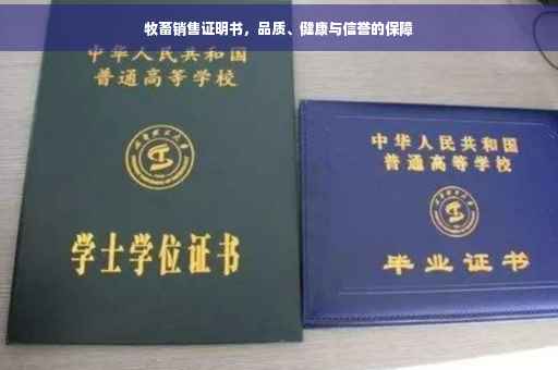 牧畜销售证明书，品质、健康与信誉的保障