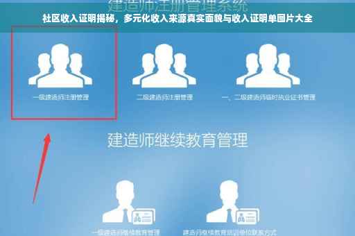 社区收入证明揭秘，多元化收入来源真实面貌与收入证明单图片大全