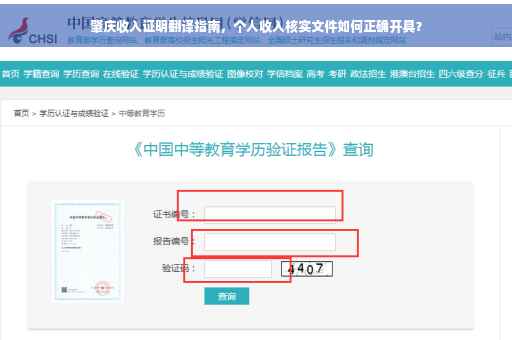 肇庆收入证明翻译指南，个人收入核实文件如何正确开具？