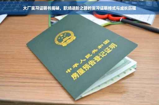 大厂实习证明书揭秘，职场进阶之路的实习证明格式与成长历程