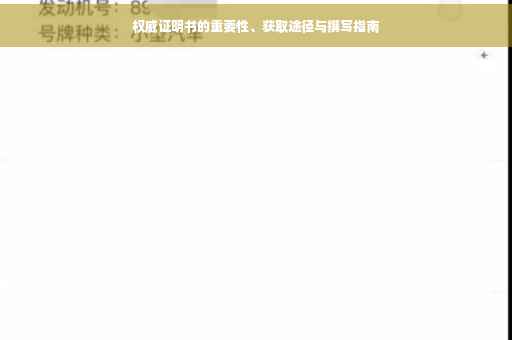 权威证明书的重要性、获取途径与撰写指南