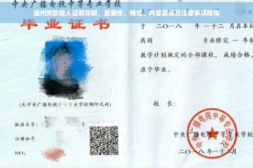 温州贷款收入证明详解，重要性、格式、内容要点及注意事项指南