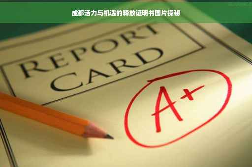 成都活力与机遇的释放证明书图片探秘