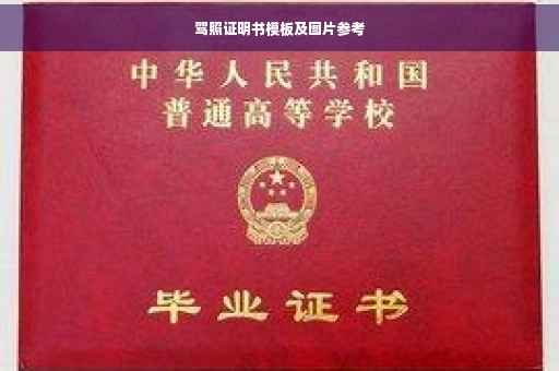 驾照证明书模板及图片参考