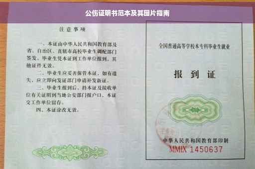 公伤证明书范本及其图片指南