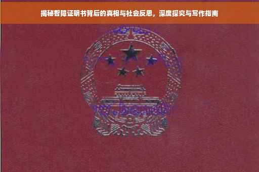 揭秘智障证明书背后的真相与社会反思，深度探究与写作指南
