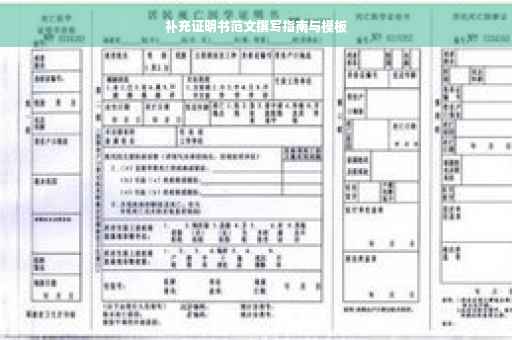 补充证明书范文撰写指南与模板