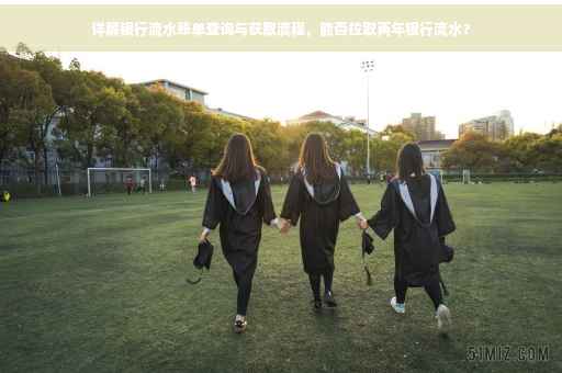 详解银行流水账单查询与获取流程，能否拉取两年银行流水？