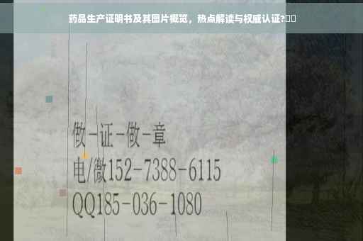 药品生产证明书及其图片概览，热点解读与权威认证?⚡️