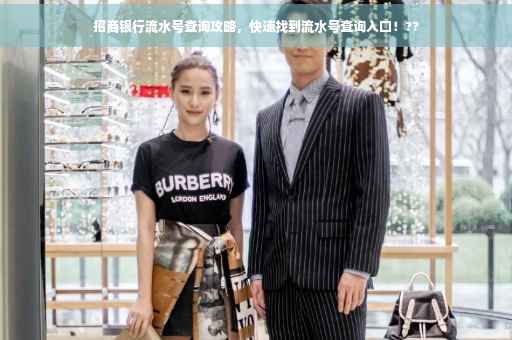 招商银行流水号查询攻略，快速找到流水号查询入口！??