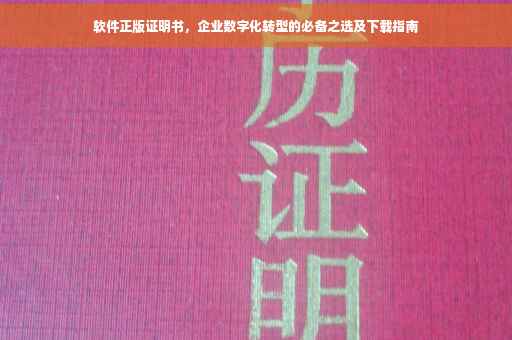 软件正版证明书，企业数字化转型的必备之选及下载指南