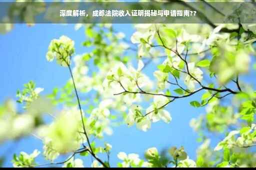 深度解析，成都法院收入证明揭秘与申请指南??