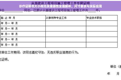 诊疗证明书大小规范及重要性全面解析，尺寸要求与实际应用