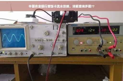 中国农业银行查饭卡流水攻略，详解查询步骤??