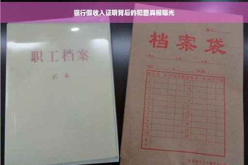 银行假收入证明背后的犯罪真相曝光